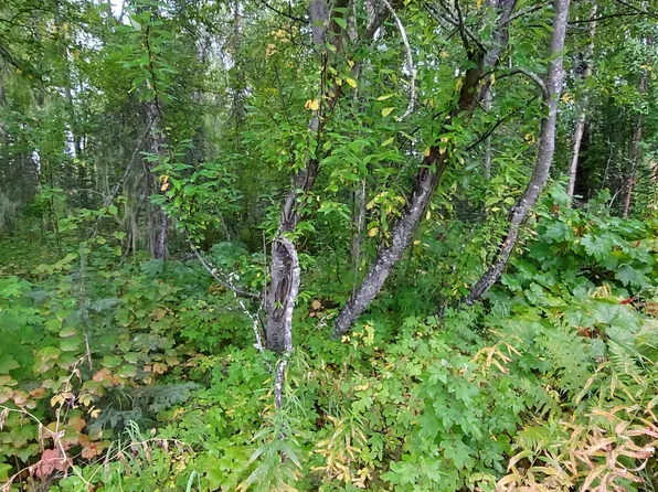14972 E Powers Rd, Talkeetna, AK 99676