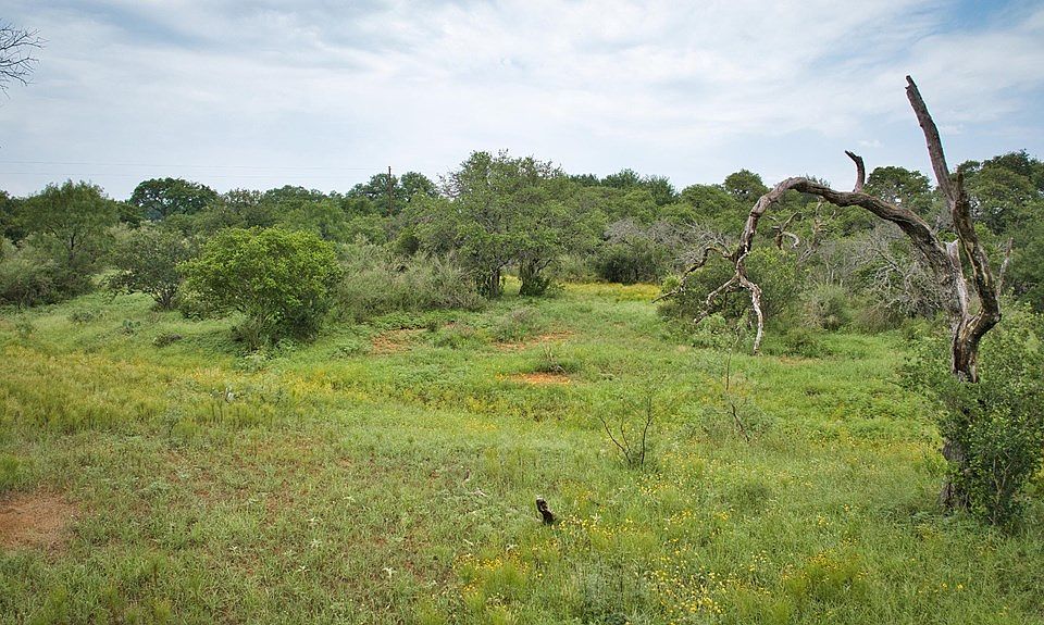 2nd image of LOT 3 Peters Creek Rd
