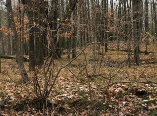 10462 Mountain View Trl #374, Stanwood, MI 49346