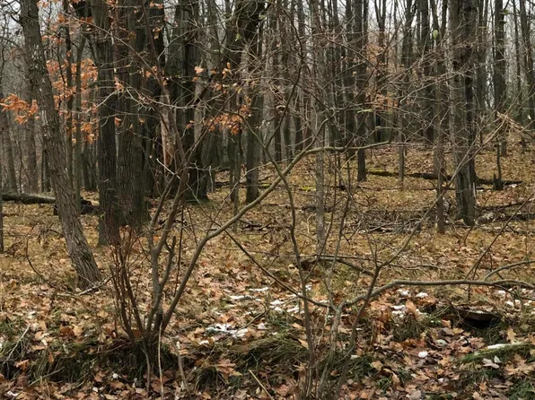 10462 Mountain View Trl #374, Stanwood, MI 49346