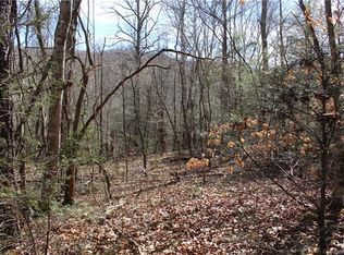 000 Bear Farm Rd, Candler, NC 28715