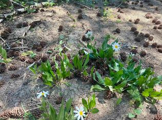 533 Henglow Dr, Cascade, ID 83611