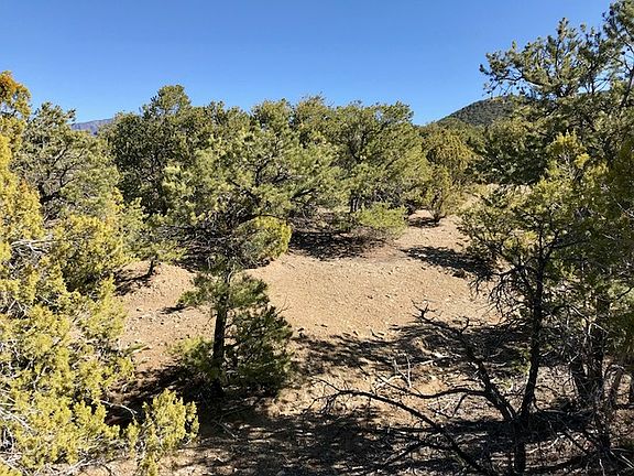 4th image of 61 Vista Del Pinon