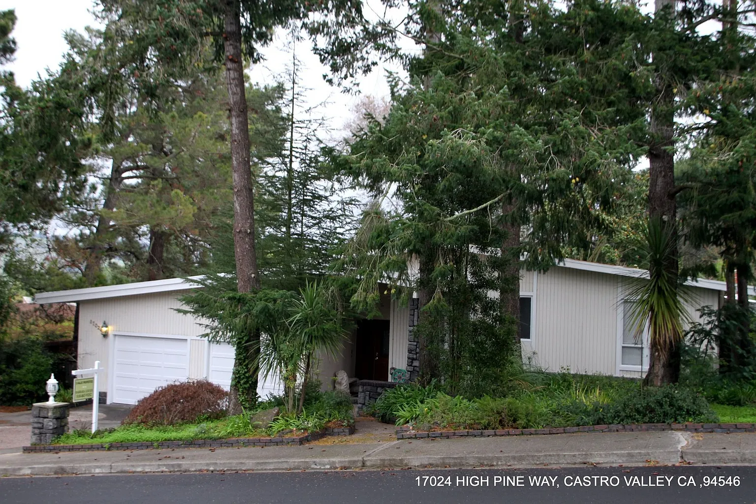 17024 High Pine Way photo 1