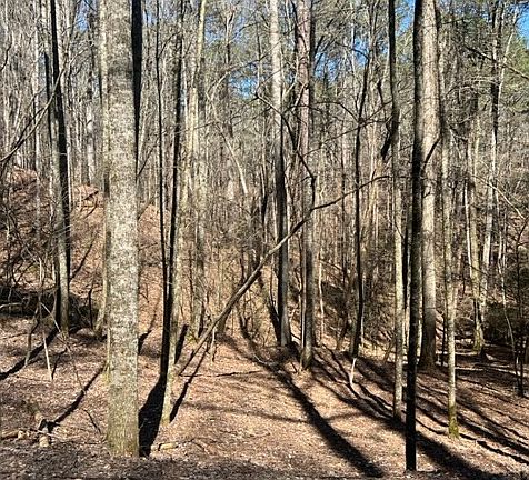 3rd image of 0 Monticello Dr Lot 2917