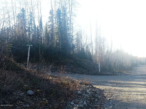 5th image of 50716 S Silver Salmon Dr