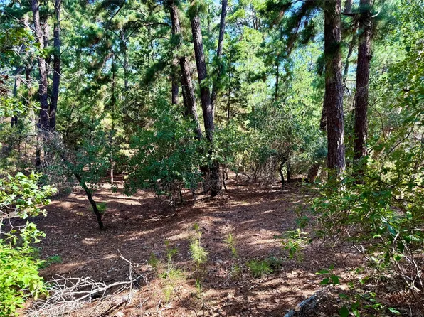112-114 118 Kaimuki Ct, Bastrop, TX 78602