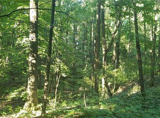 311 Deep Springs Dr, Chittenango, NY