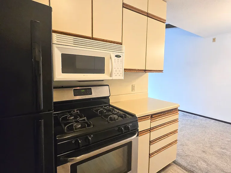 7320 York Ave S #207 — Photo 7