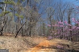 2nd image of 0 Soapstone Rd