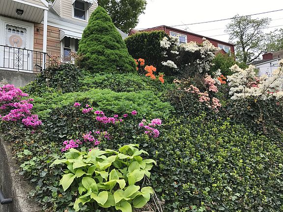 View from the driveway
