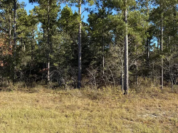 0 Highway 46, Swainsboro, GA 30401