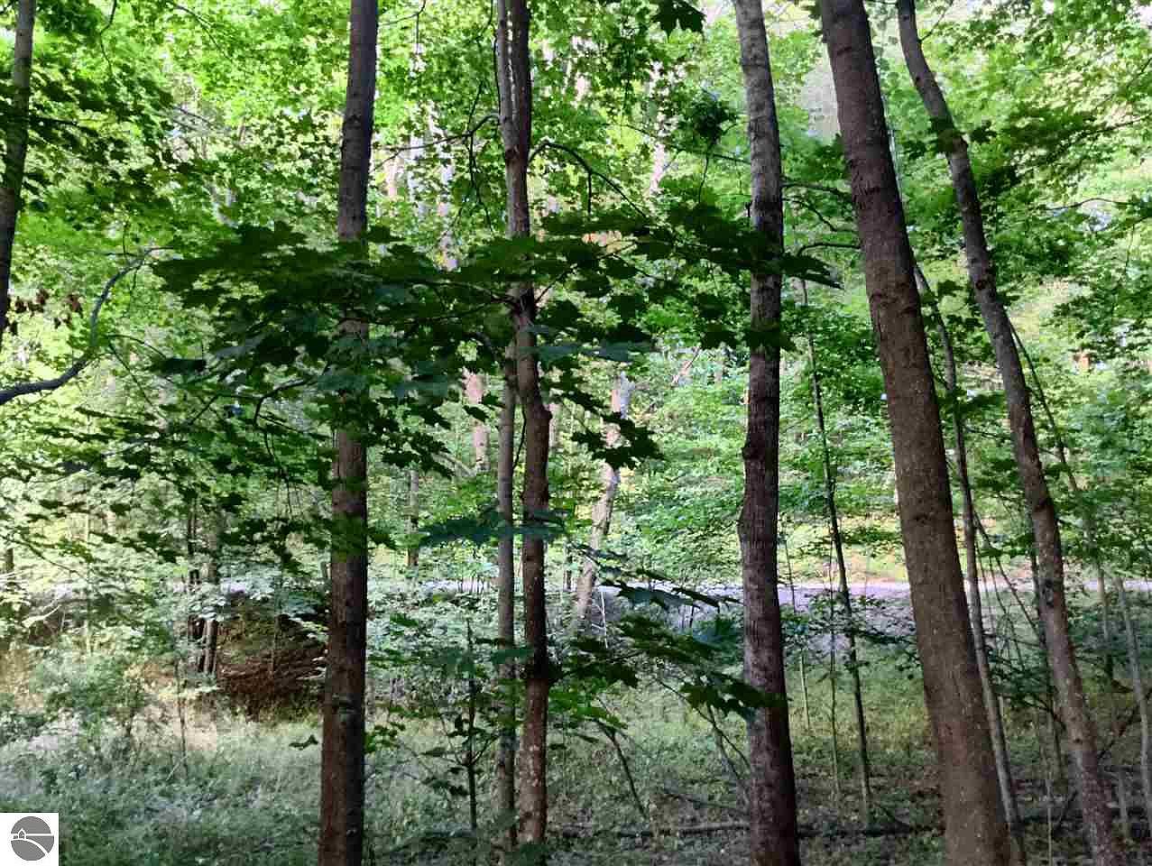 Stratton Ln LOT 13, Elberta, MI 49628 Zillow