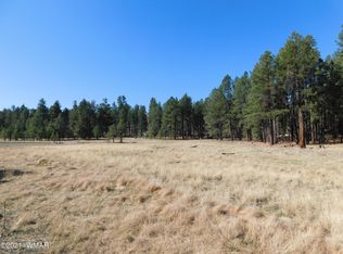 16 County Road 2115, Alpine, AZ 85920