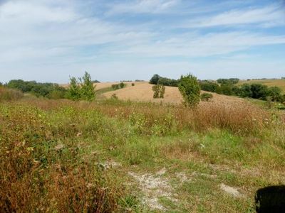 2323 290th St, Parnell, IA, 52325
