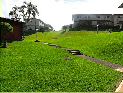 Landscaped lawn