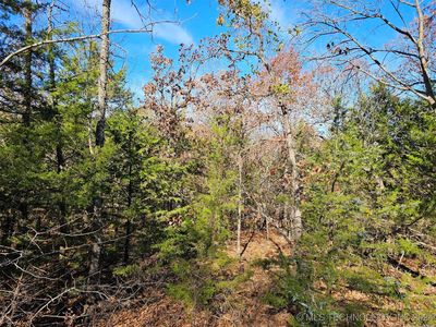 2617 W Lakeshore Dr, Cleveland, OK, 74020