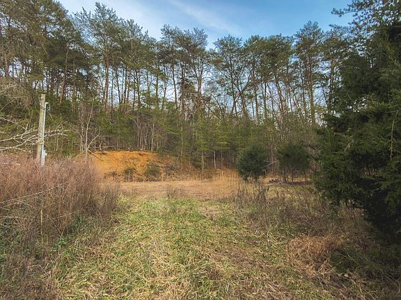 3rd image of 1655 Lester Whitt Rd Lot 0