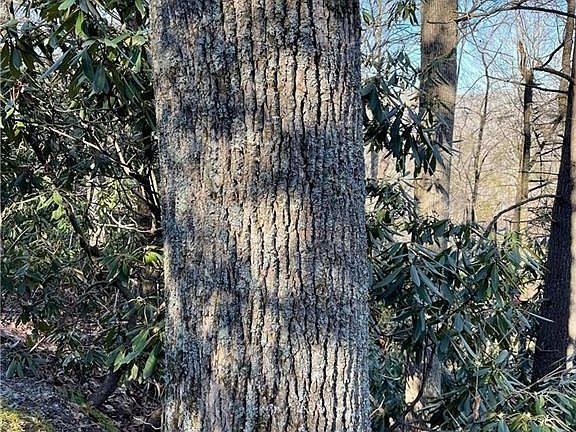 5th image of LOT Fifteen Laurel Ridge Rd