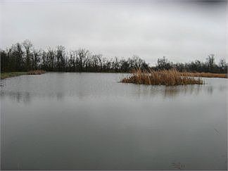 2nd image of 111 Goose Haven Ln