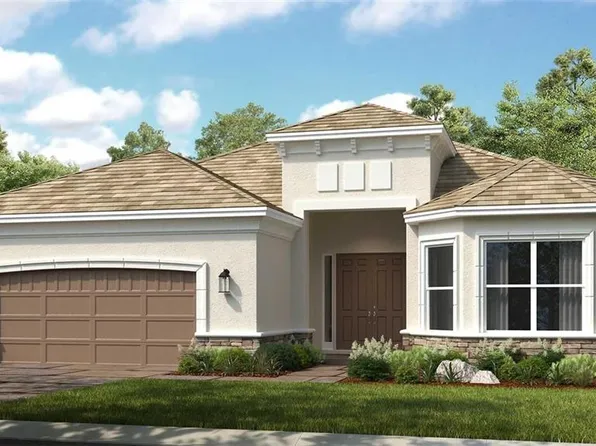 29522 Toricelli Rd, Wesley Chapel, FL 33543
