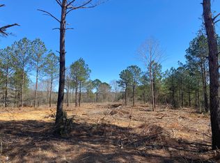 463 Lynn Ray Rd, Petal, MS 39465