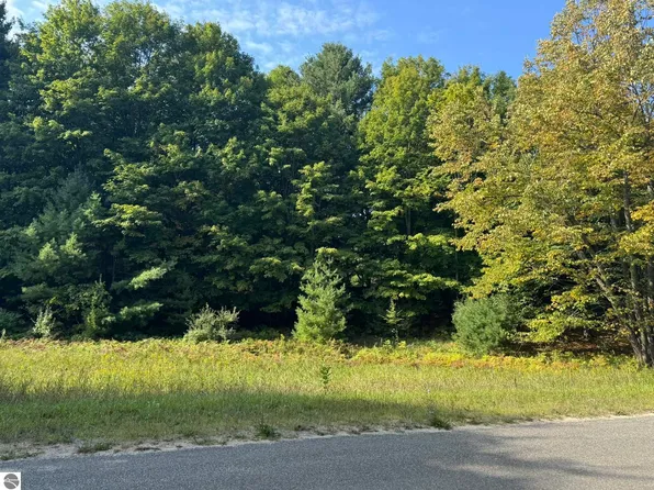 LOT 5 E Old Mountain Rd, Cedar, MI 49621
