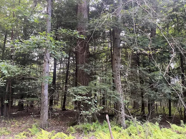 0 Campbell Hill Rd, Tidioute, PA 16351