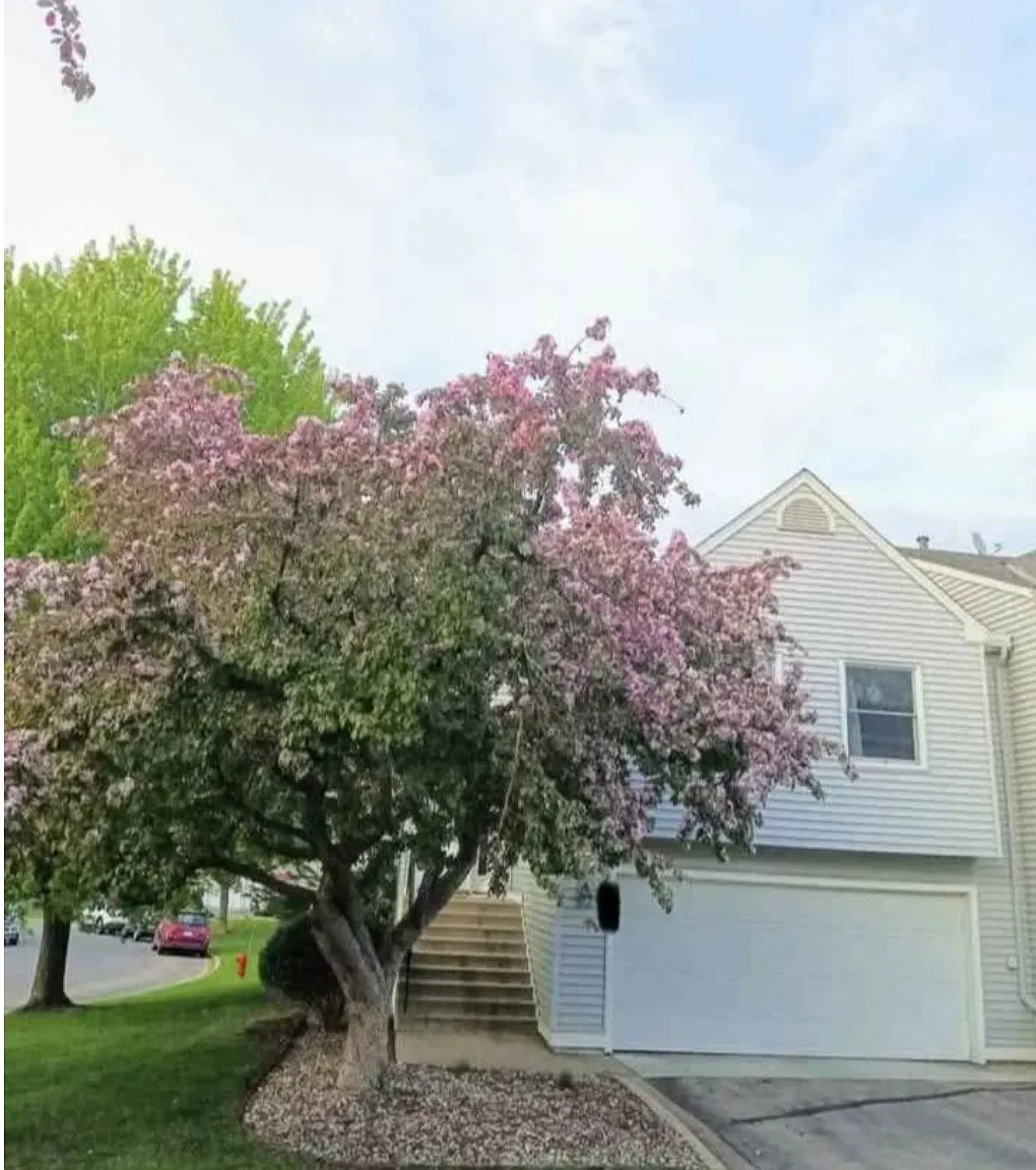 Meadowlark Way, Eagan — Photo 1