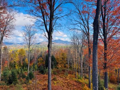 52 Bear Cub Ln, Lake Placid, NY, 12946