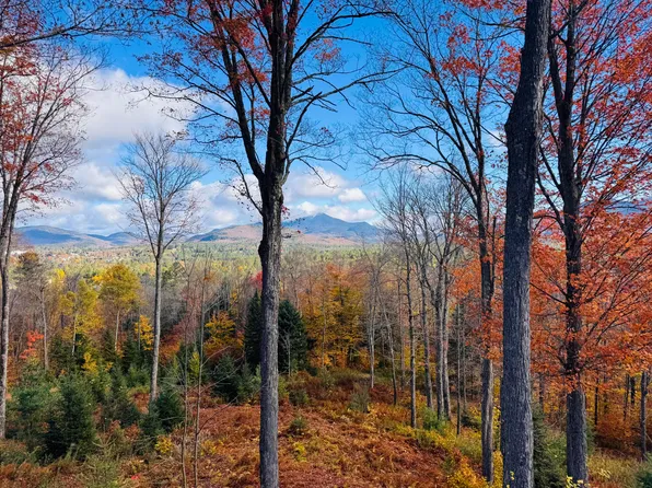 52 Bear Cub Ln, Lake Placid, NY 12946