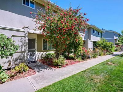 56 Hemlock Ct, Milpitas, CA, 95035