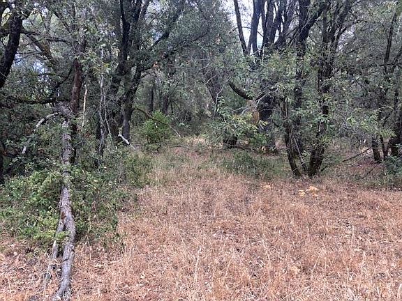 3rd image of 16272 Highway 26