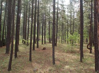 8781 Country Club Dr, Pinetop, AZ 85935