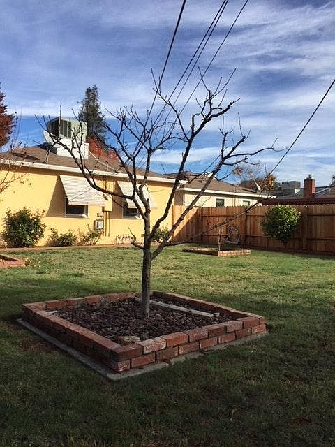 huge backyard + extra veg garden