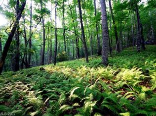 99 Solomon Jones Road, Cedar Mountain, NC 28718