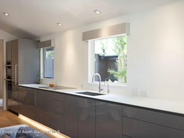 950 E Durant Ave APT 4, Aspen, CO 81611