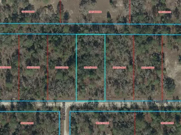 TBD SE 100TH PLACE LOT 11, DUNNELLON, FL 34431
