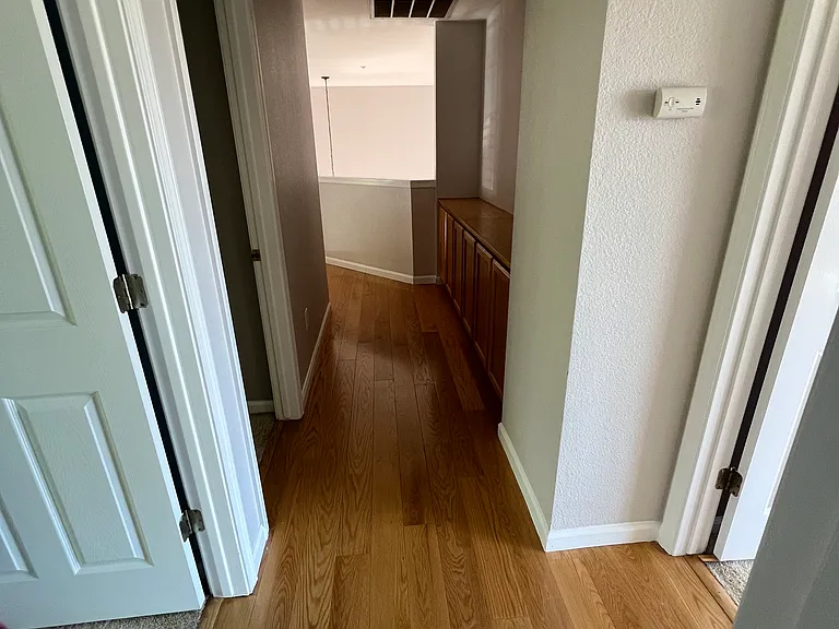 831 Spring Mountain Ln — Photo 11