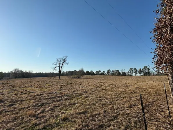0 Roy Schmidt Rd, Sontag, MS 39665