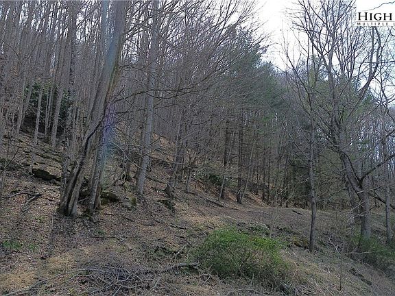 4th image of TBD Parker Eller Road