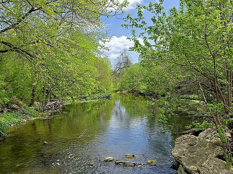 The Creek — Photo 39