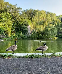 Rented by CITY SPHERE