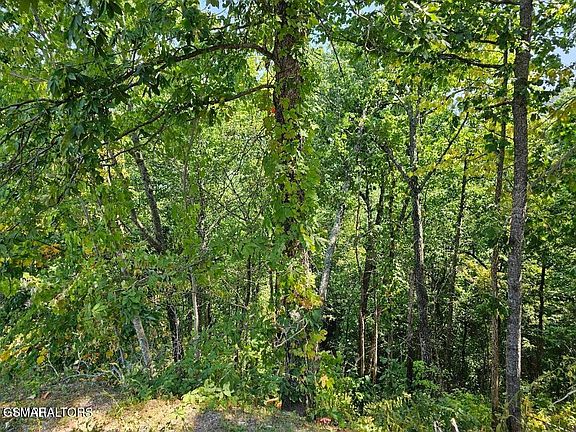 3rd image of 13 Villa Ridge Pl