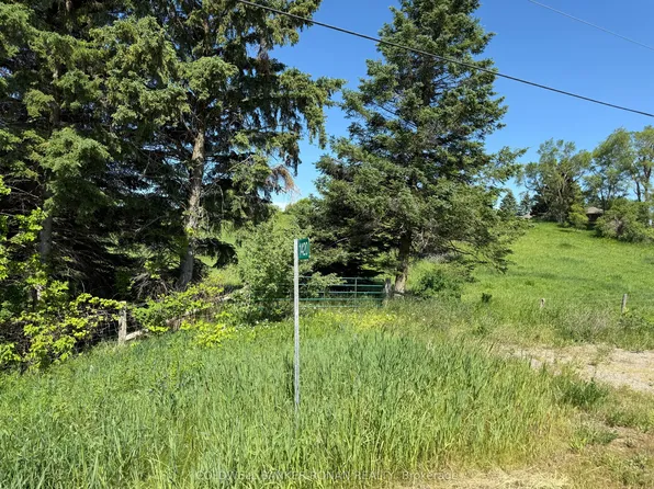 1420 County Road 50, Adjala Tosorontio, ON L0N 1P0