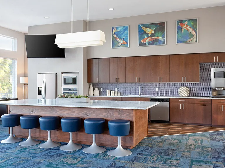Terra Apartments — Photo 10