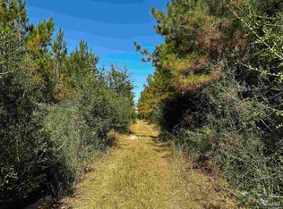 PARCEL D2 NE Walther Rd, Milton, FL 32570