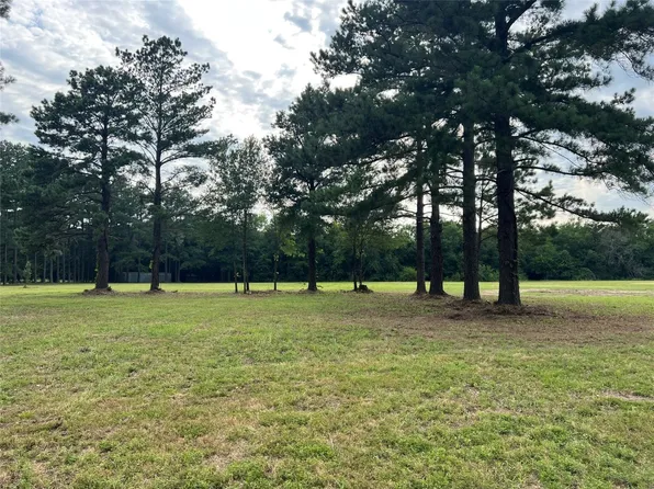 2125 Tbd County Rd, Ivanhoe, TX 75447