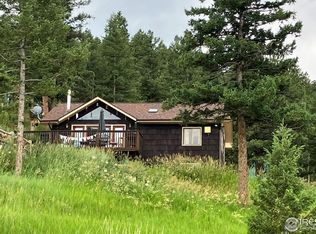 114 Old Whiskey Rd, Nederland, CO 80466