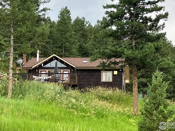114 Old Whiskey Rd, Nederland, CO 80466